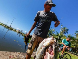 IMA proíbe consumo de peixes encontrados mortos à margem da Lagoa da Anta