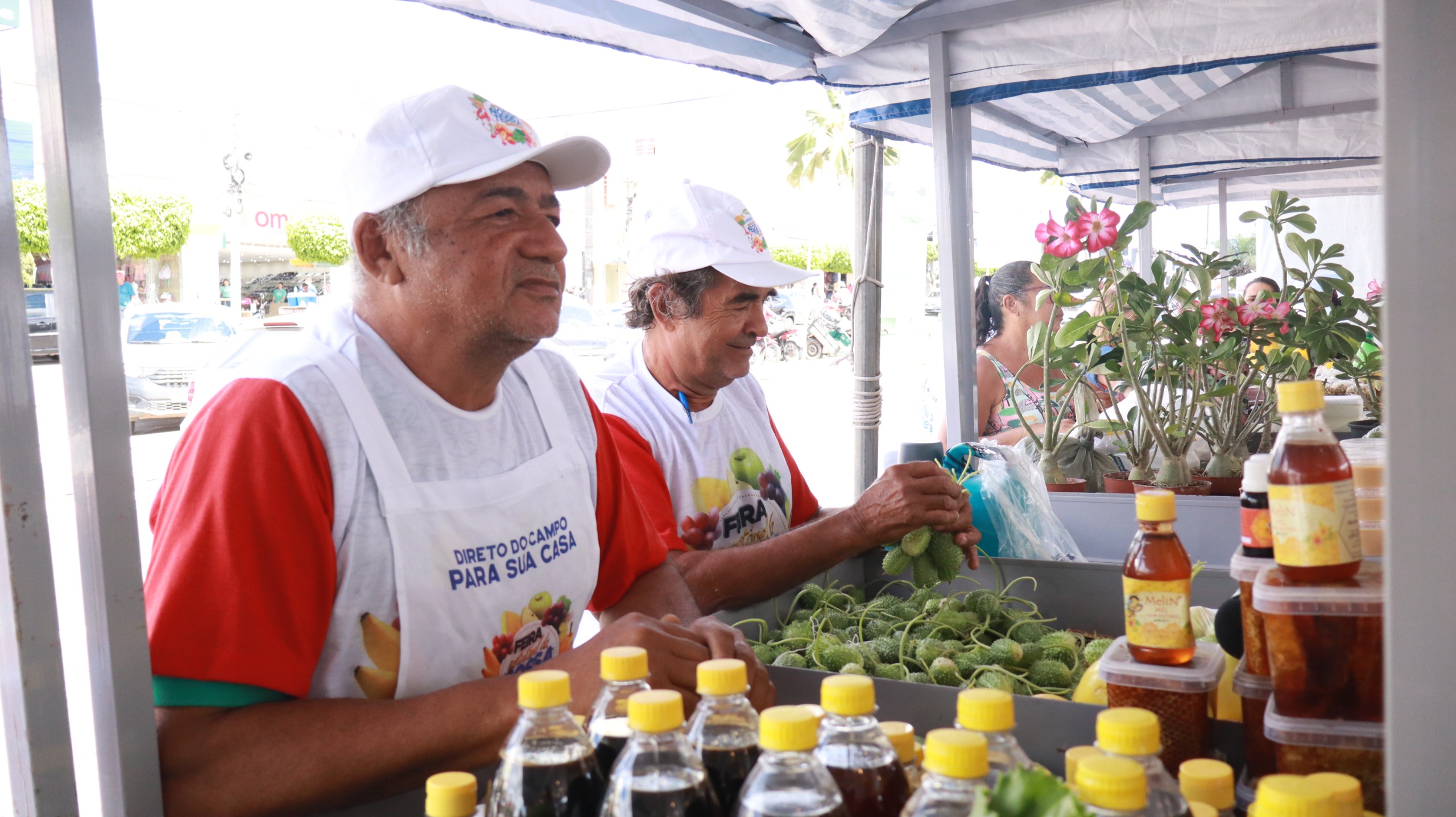 Circuito de Feiras fortalece cooperativas e chega a Murici na terça (18)
