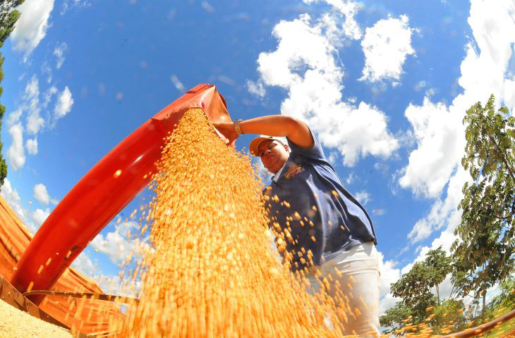 IBC-Br cai 0,6% em junho, aponta Banco Central