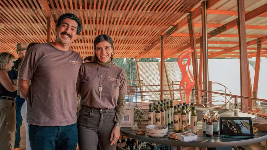 Casal transforma olival abandonado em azeite premiado no exterior