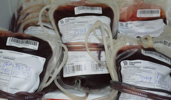 Hemoal Maceió promove Campanha de Doação de Sangue para o Carnaval