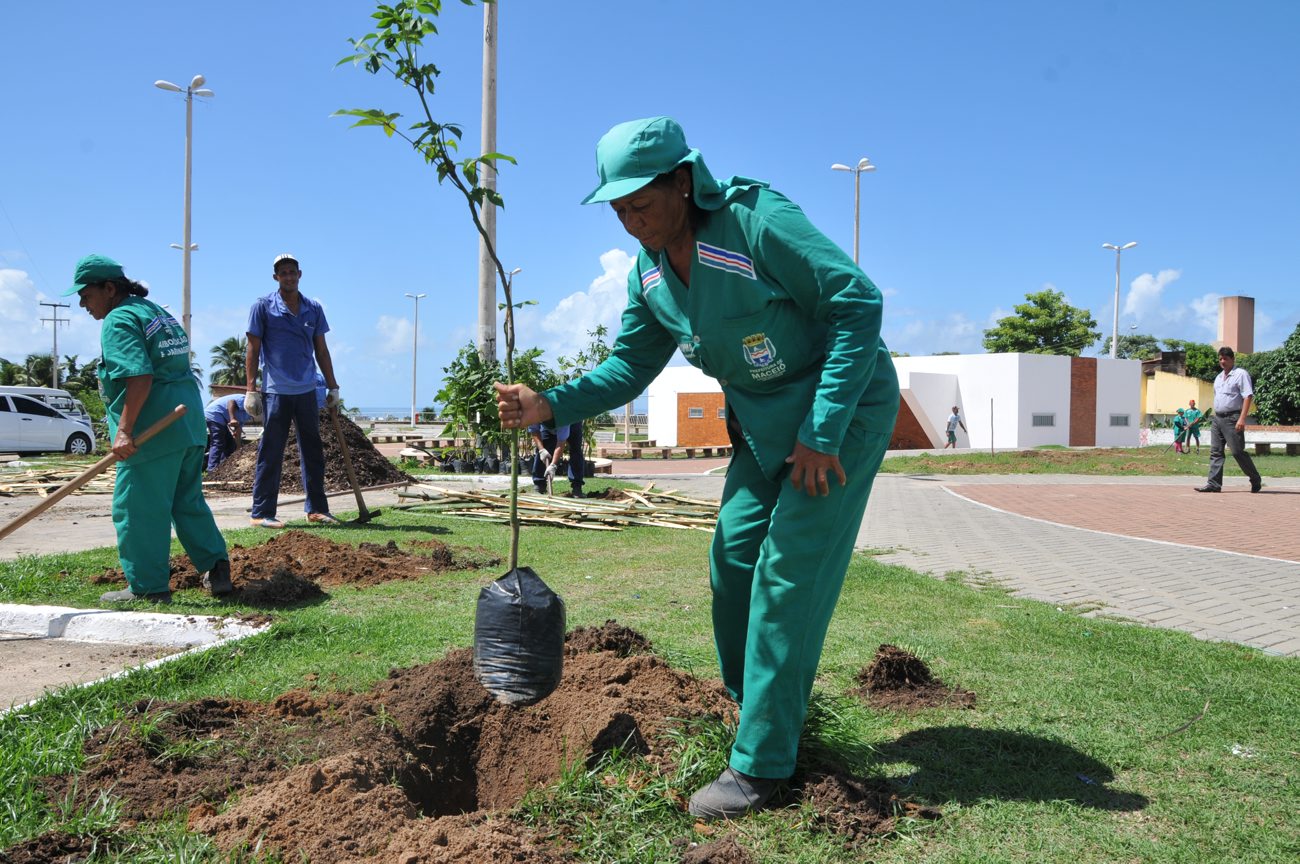 Confira como solicitar serviços de arborização à Prefeitura