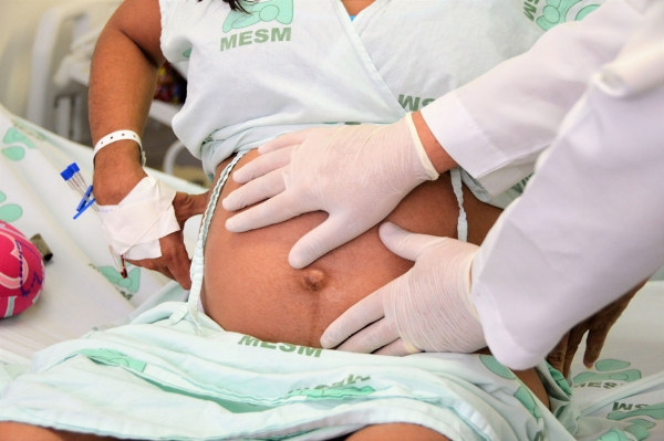 Sesau e MS promovem I Oficina de Avaliação da Rede Cegonha em Alagoas