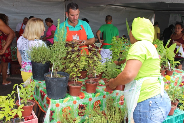 Feira Orgânica na Praia será no domingo,14, na orla de Maceió