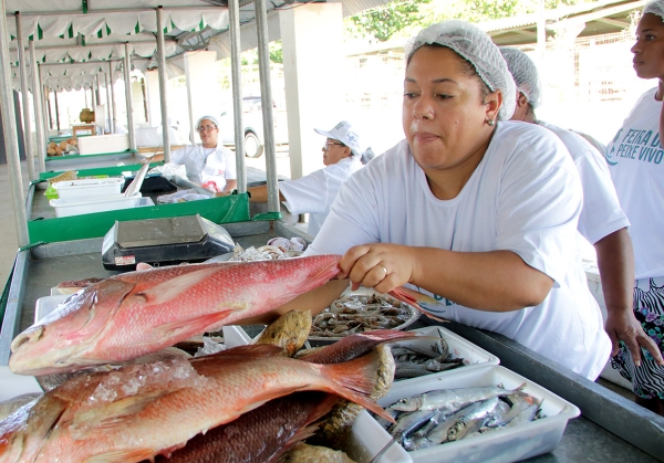 Tradicional Feira do Peixe vivo gera renda e oferece qualidade dos produtos