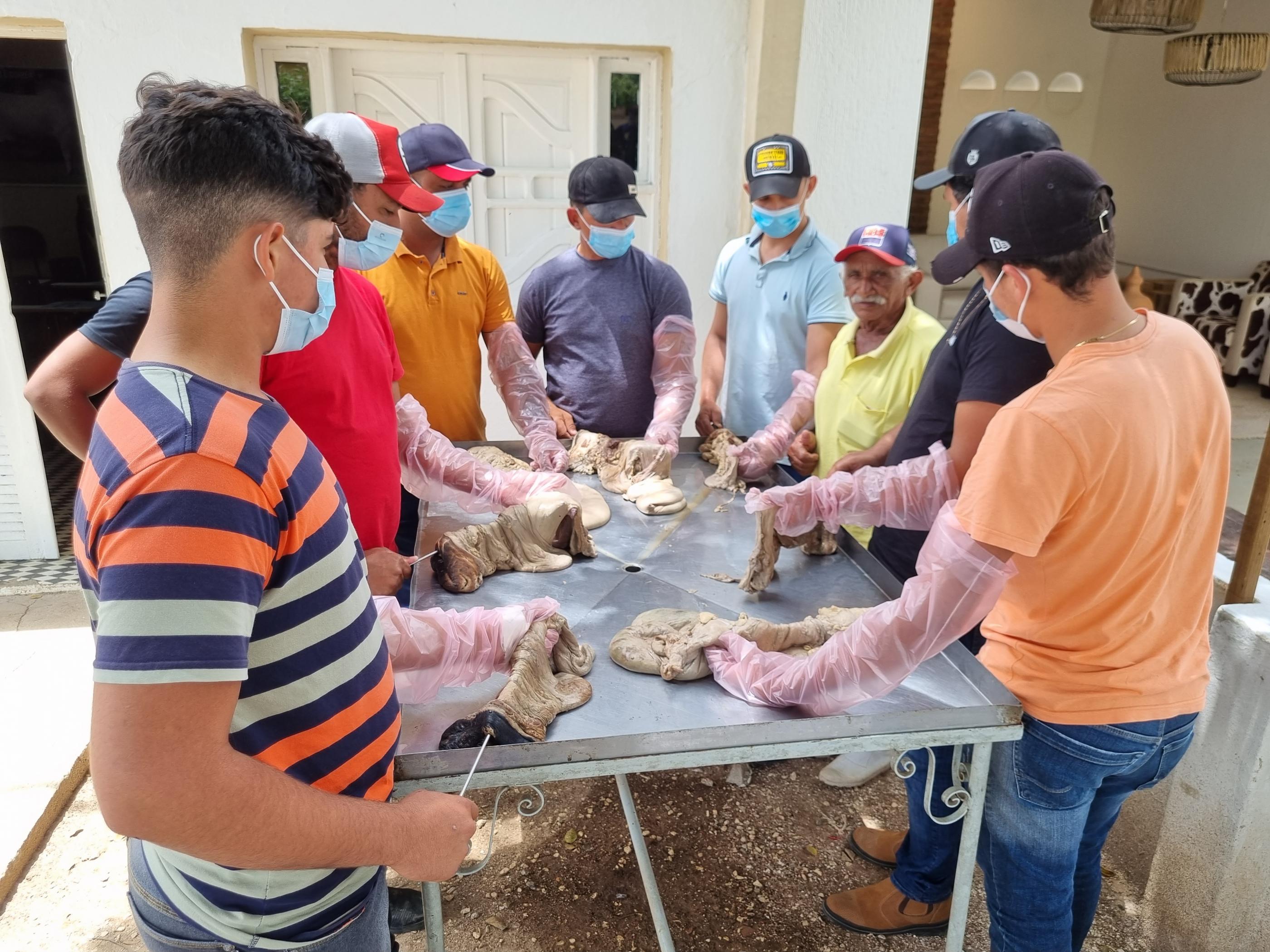 Batalha recebe curso gratuito de Inseminação Artificial em Bovinos; Inscrições abertas