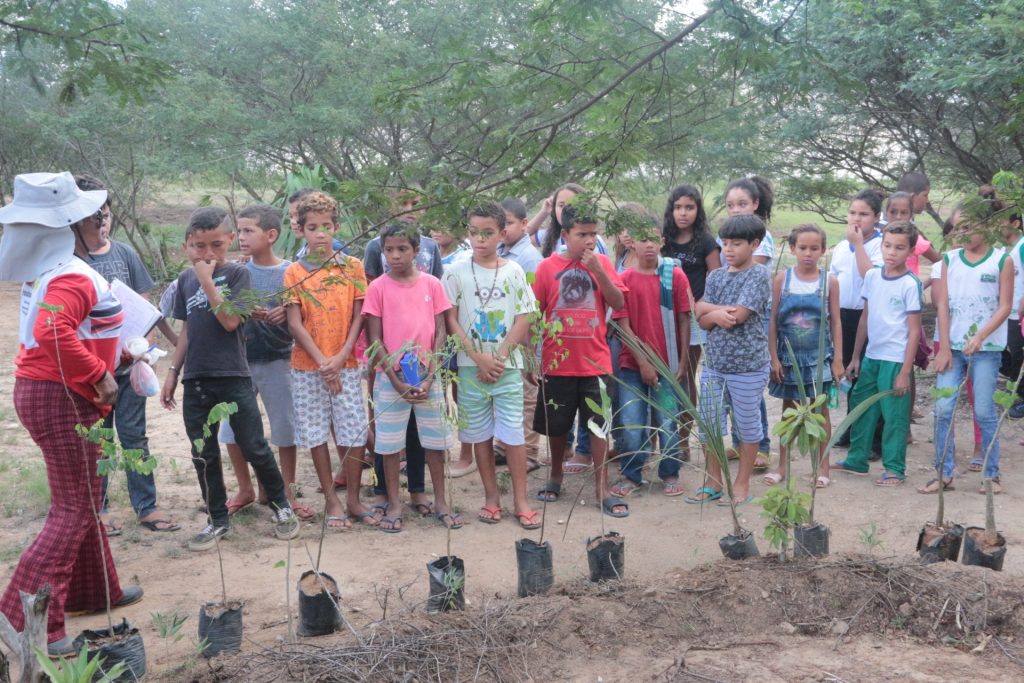 Município promove atividades de sustentabilidade na semana do meio ambiente