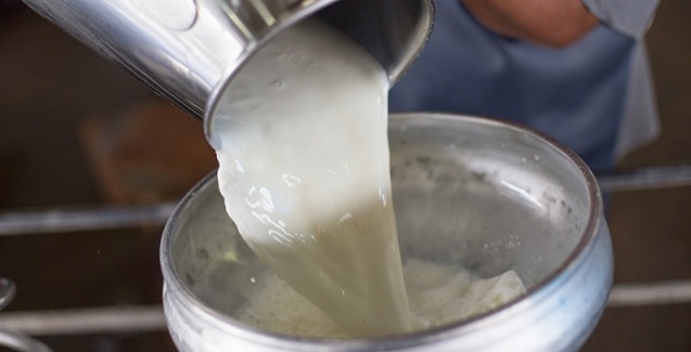 CPLA comemora Dia Mundial do Leite