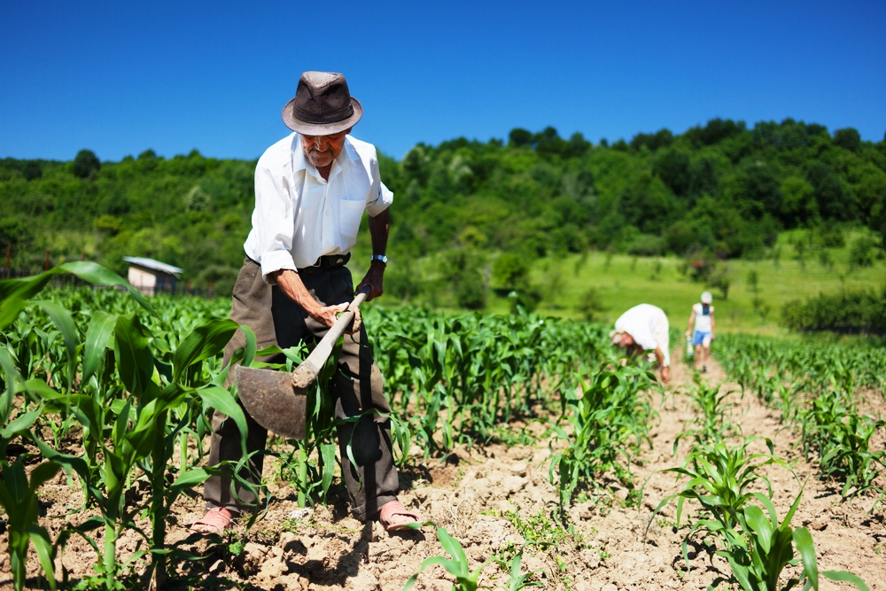 Seminário na Fetag-AL debate políticas públicas para a agricultura familiar