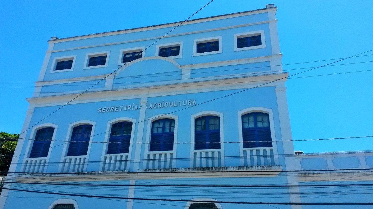 Sílvio Bulhões deve assumir comando da Seagri