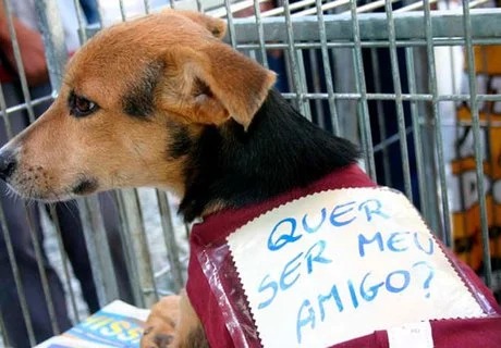 Dia do Amigo PET acontece no próximo sábado em Arapiraca