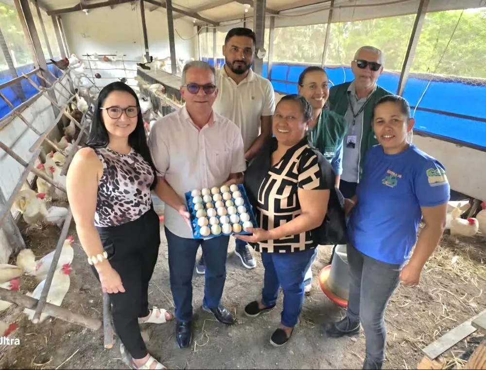 Arapiraca fortalece inspeção sanitária e garante qualidade na produção de ovos