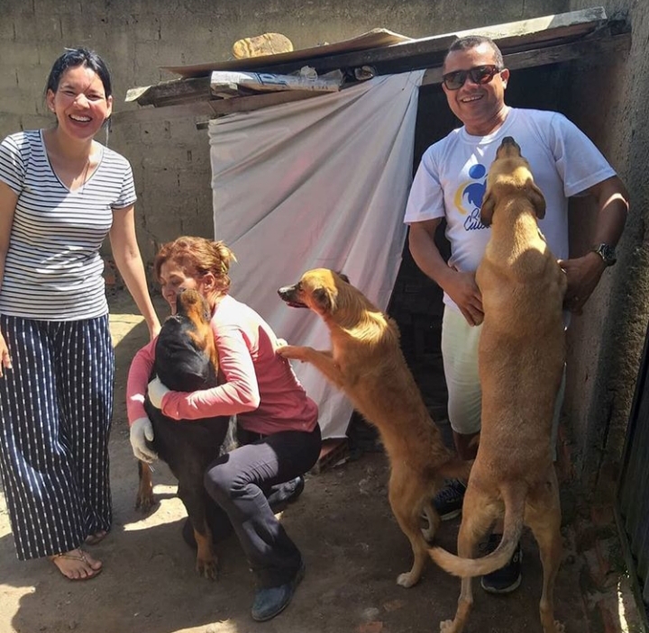 Projeto social alimenta animais de rua