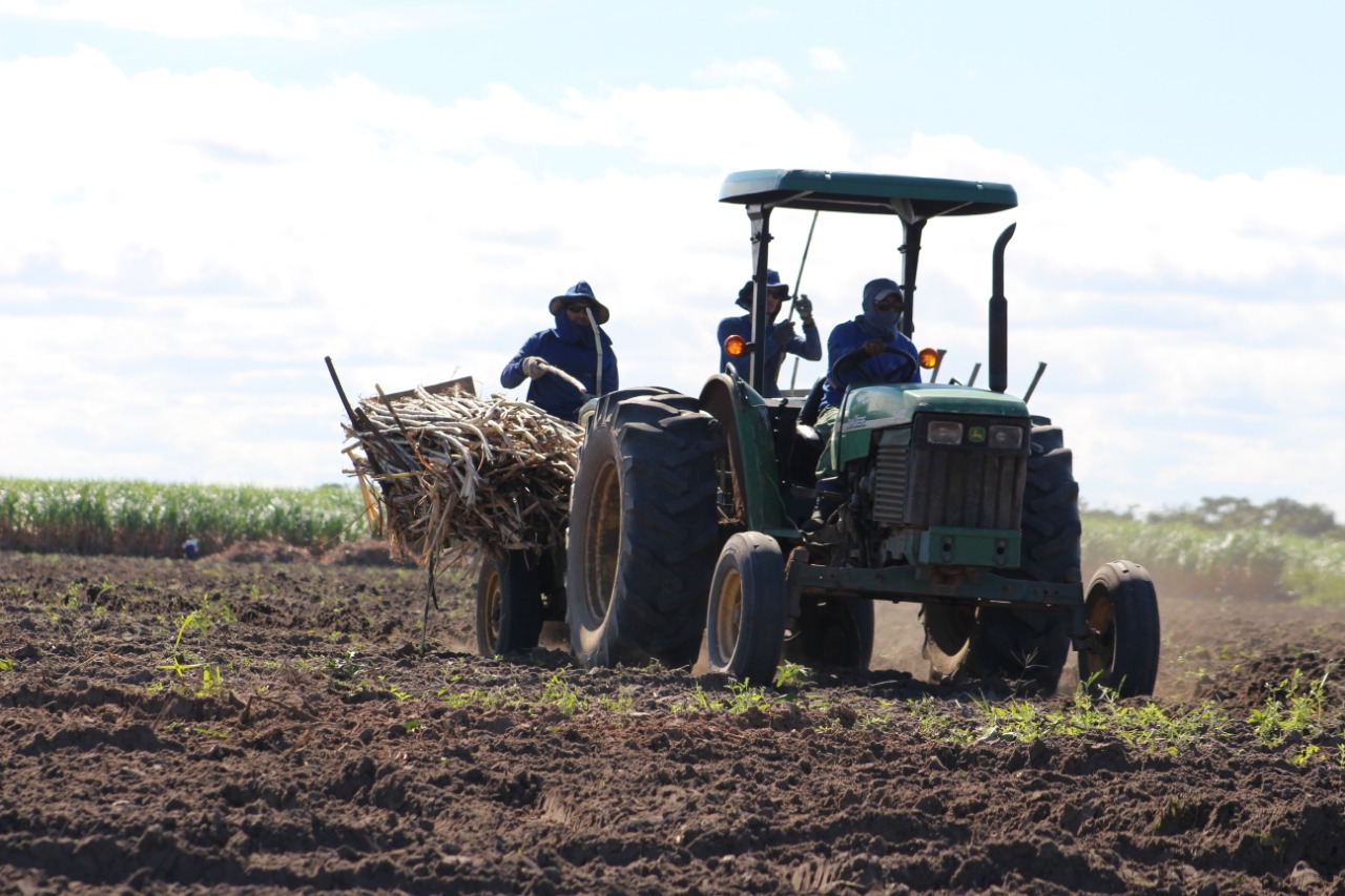 Usina Pindorama vai entrar em operação mais cedo na safra 19/20