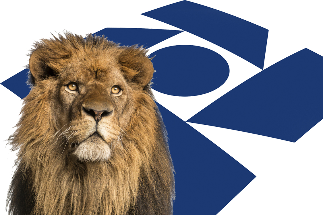 Consultas ao 3º lote do IR 2019 serão abertas na quinta-feira (8)