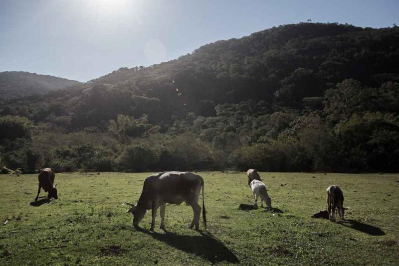 Começa hoje prazo para entrega da declaração de propriedade rural