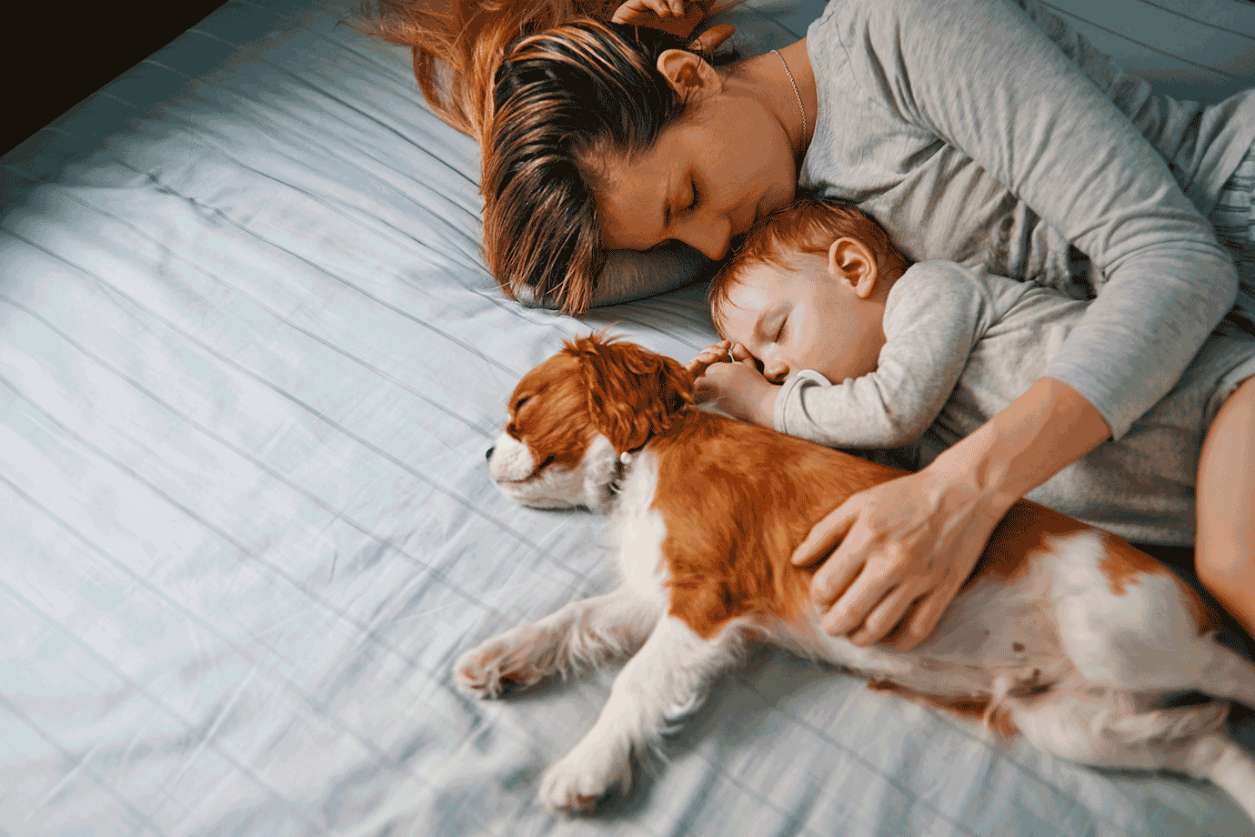 É melhor dormir ao lado de um cachorro do que de um homem, aponta estudo