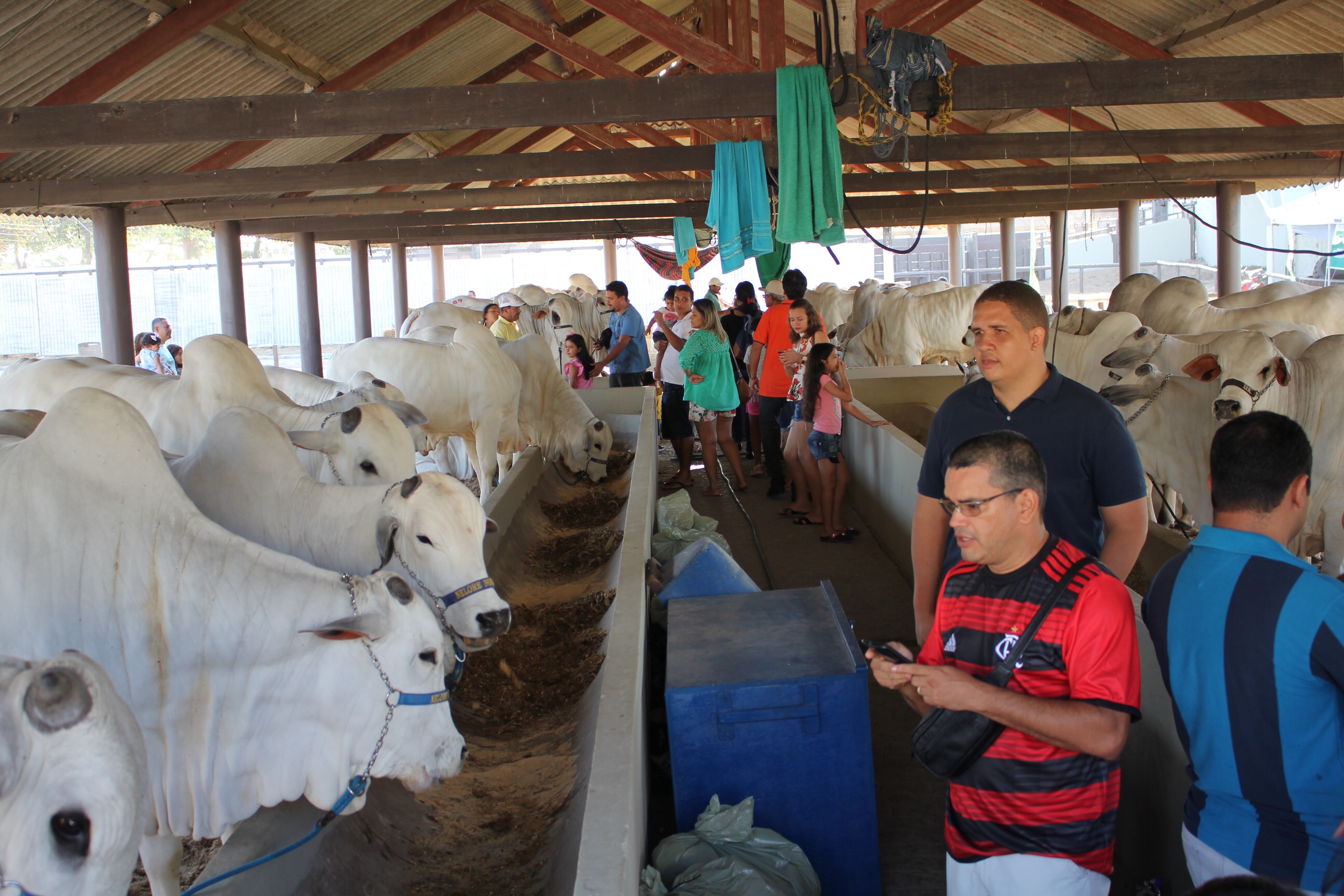 Expoagro/AL promete aquecer pecuária alagoana em sua 69ª edição