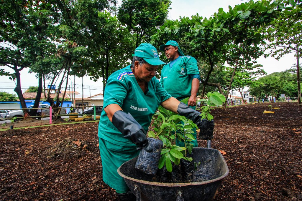 Maceió teve ampliação de serviços de limpeza e arborização