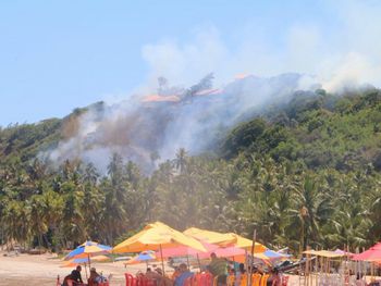 Incêndio em vegetação se alastra e atige pousada no litoral Norte