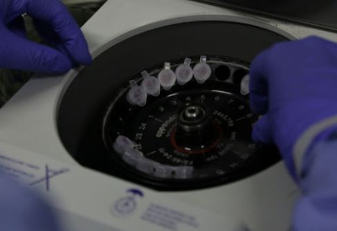 Coronavírus: Número de suspeitos infectados cai para três