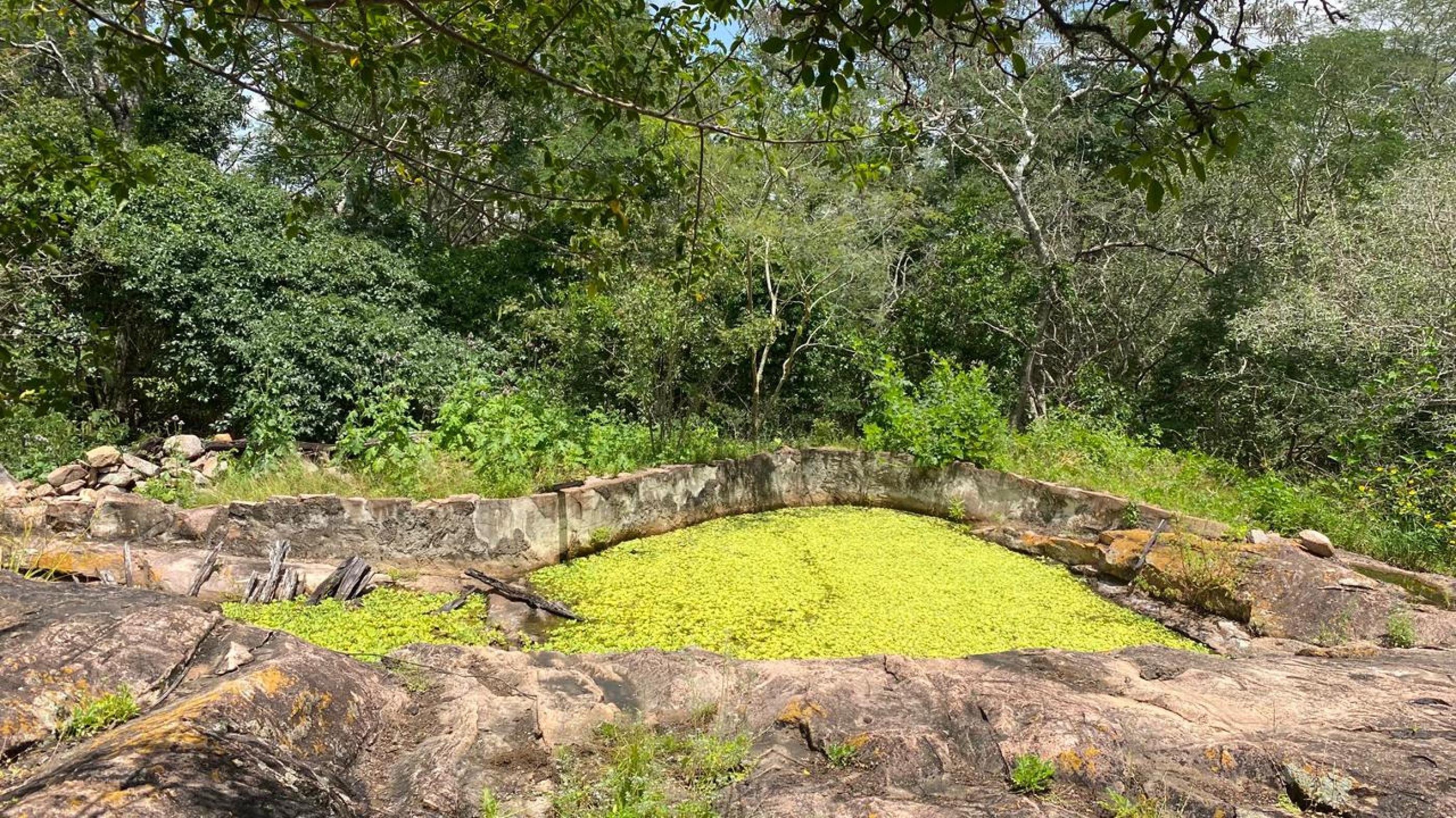 IMA orienta sobre cuidados em trilhas ecológicas