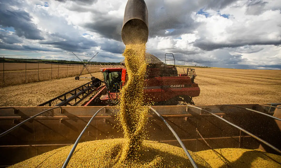 Inflação recua em agosto e preço do arroz cai pela metade em um ano