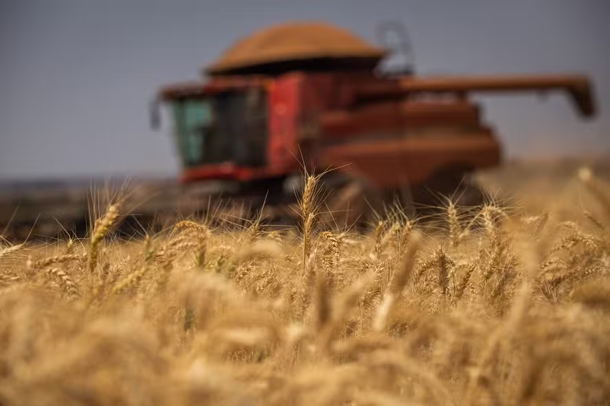 Produção global de alimentos deve crescer cerca de 14% até 2034, diz relatório