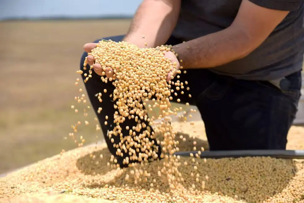 Tarifa dos EUA pode atingir 36,5% das exportações do agro brasileiro