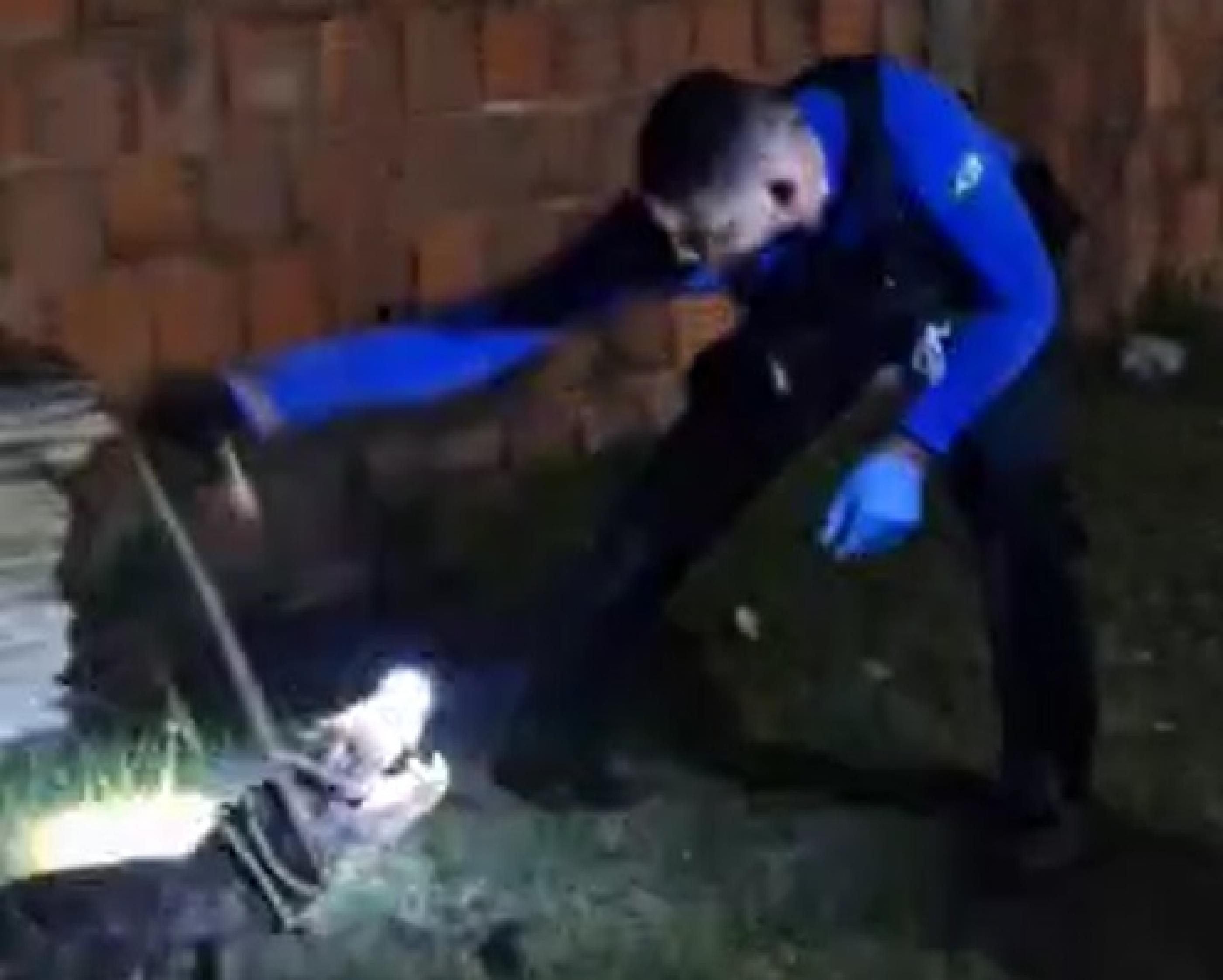 Jacaré invade casa em Marechal Deodoro e é resgatado por policial científico fora de serviço