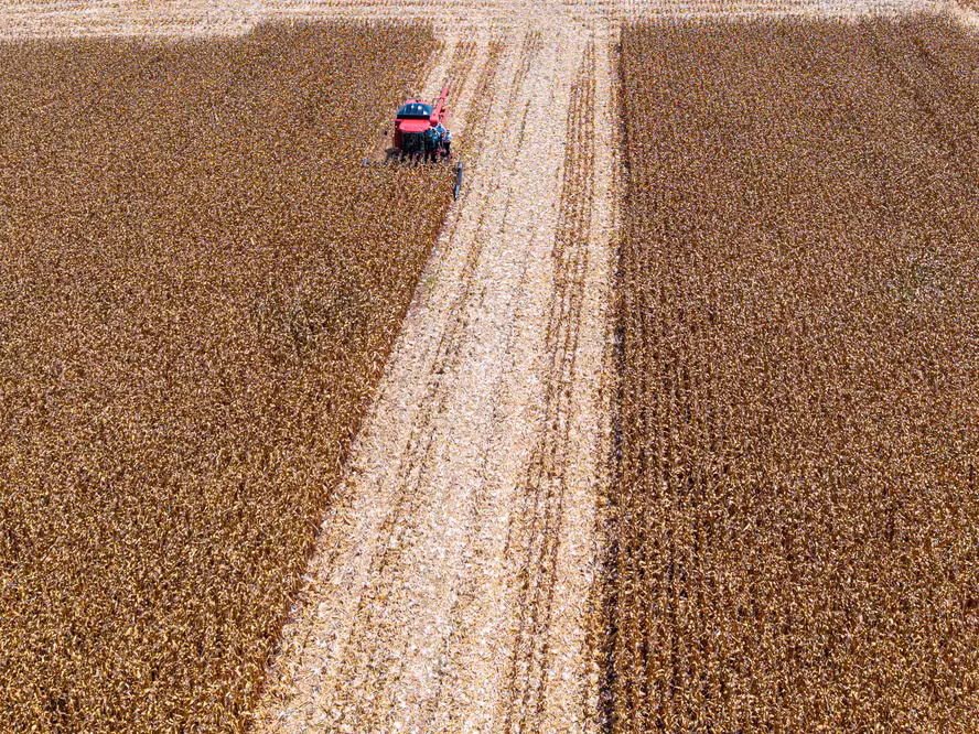 Desembolsos de crédito rural têm queda de 25% no primeiro mês do Plano Safra 25/26