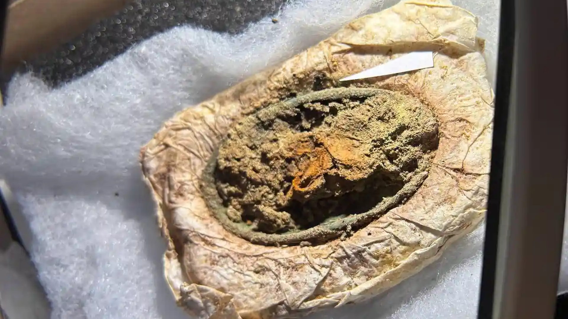 Sepultura viking revela vestuário preservado de jovem há 1.300 anos na Dinamarca