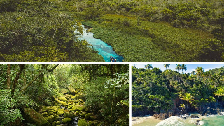 ﻿Alagoas se destaca entre destinos para quem busca contato com a natureza