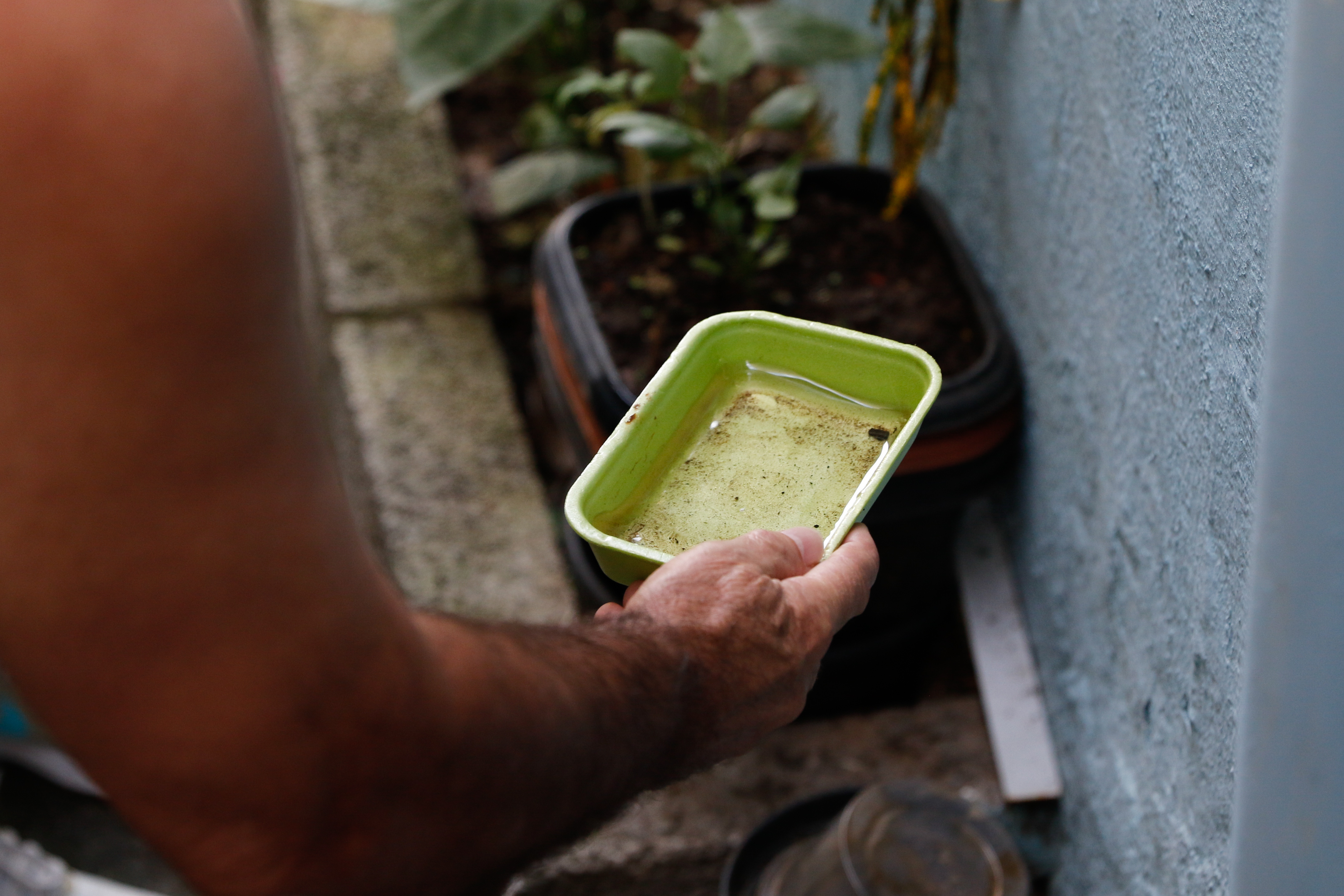 El Niño pode elevar casos de chikungunya e dengue no Brasil