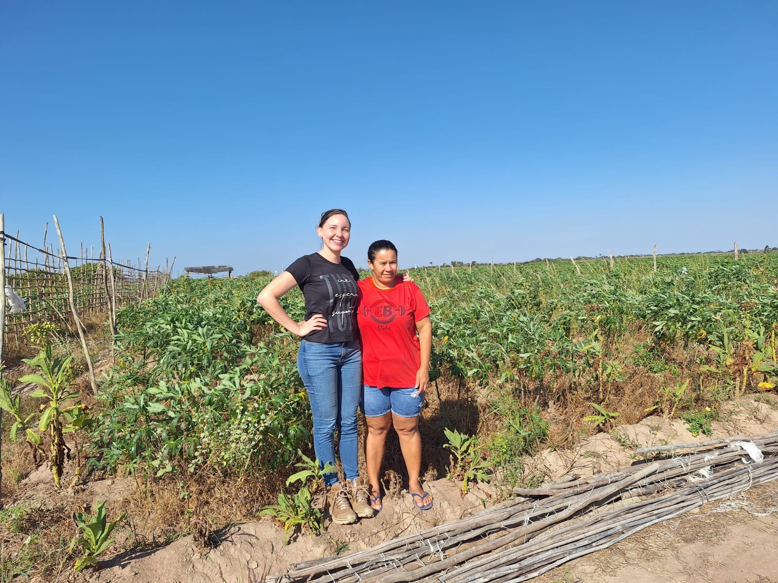 Unicafes-AL inicia nova fase de estruturação do Projeto Quintais Produtivos