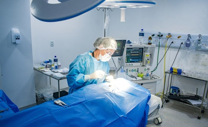 Saúde bucal ajuda a prevenir infecções e complicações no corpo, dizem especialistas