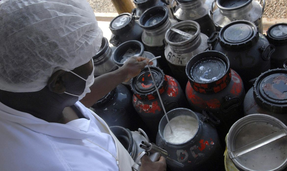CMN libera linha de capital de giro para cooperativas de leite no Pronaf