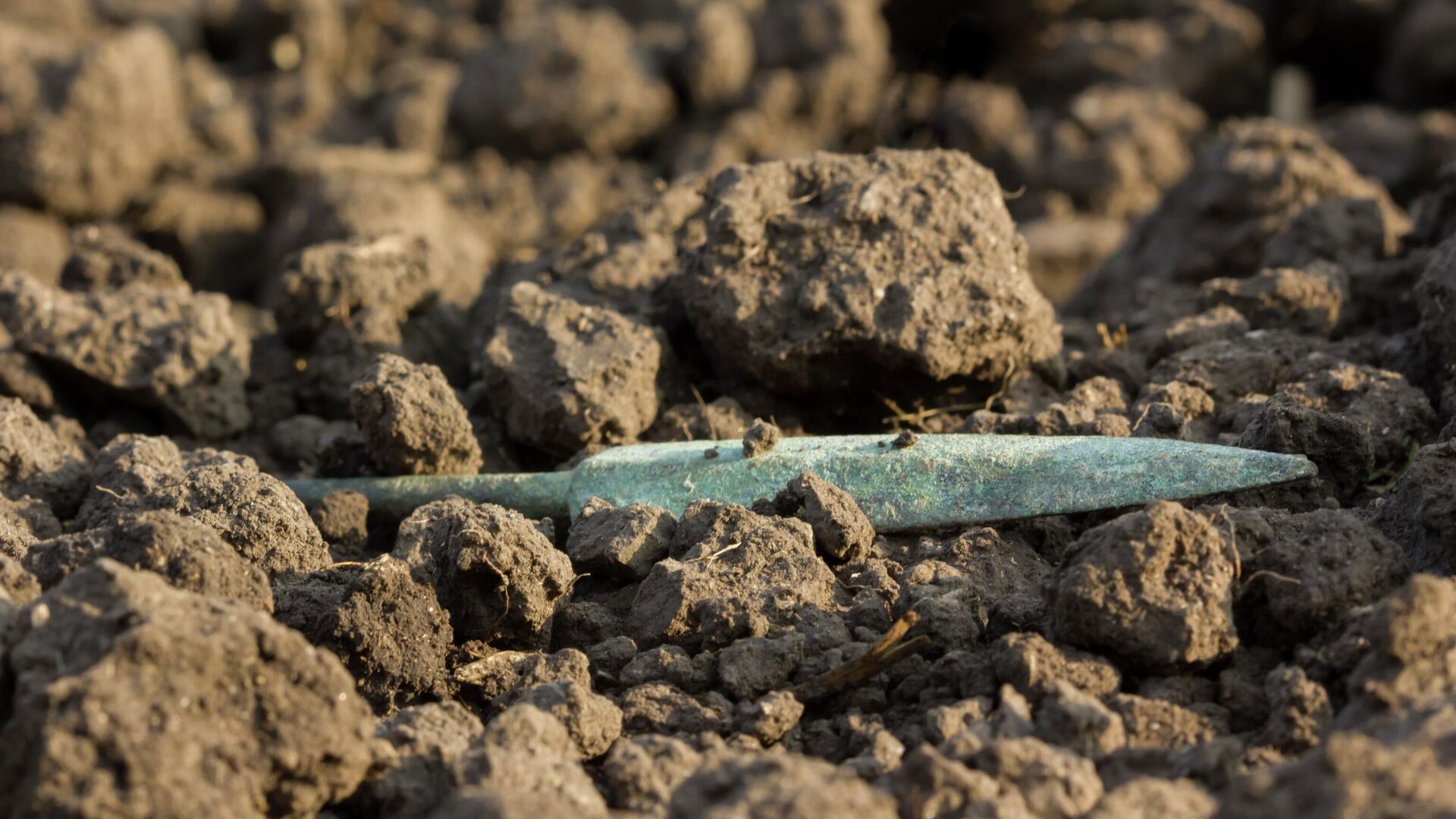 Arqueólogos descobrem lança de ferro mais longa da Idade do Ferro na Índia