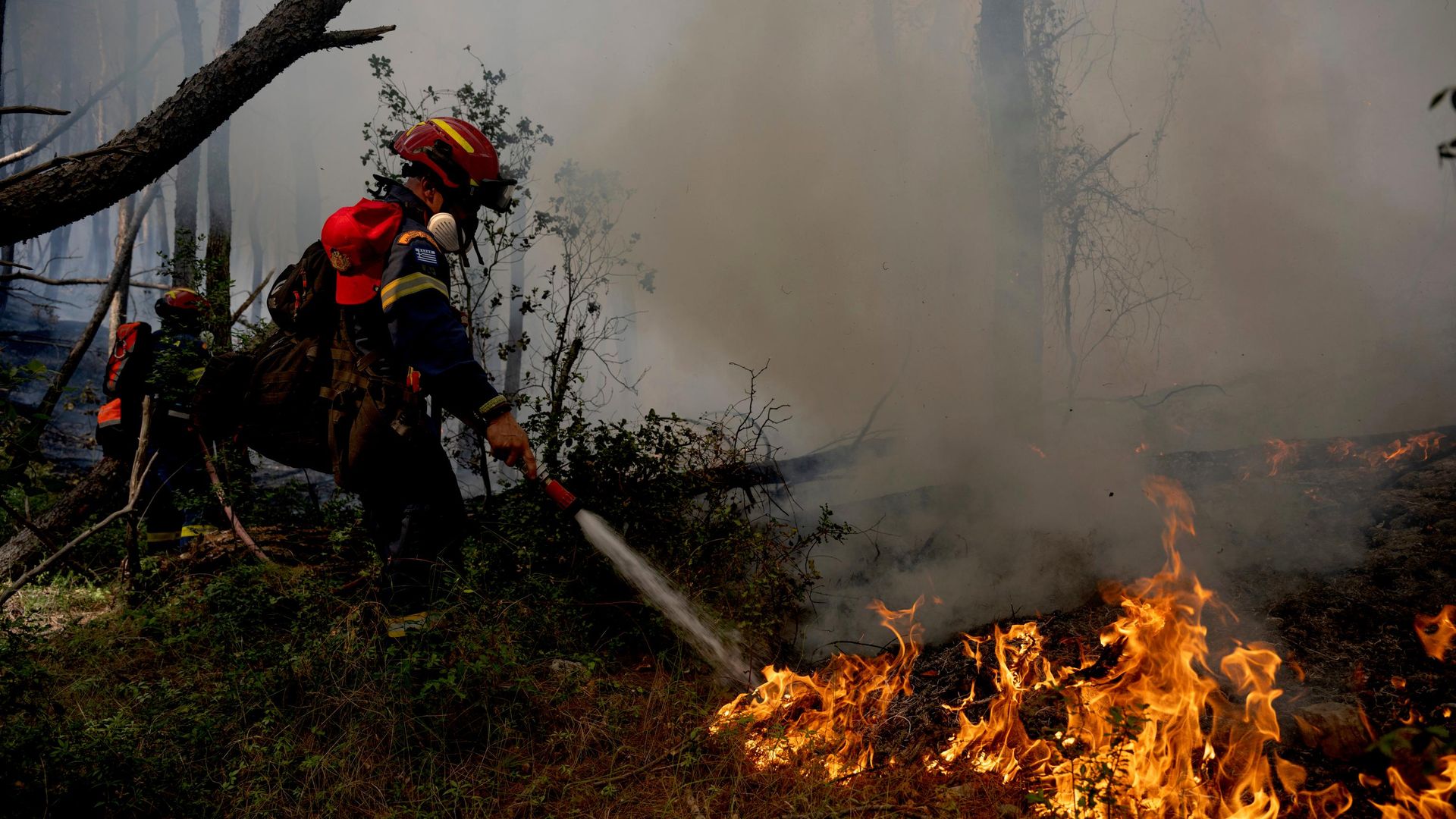 Onda de calor na Europa pode pressionar preços de alimentos e azeite