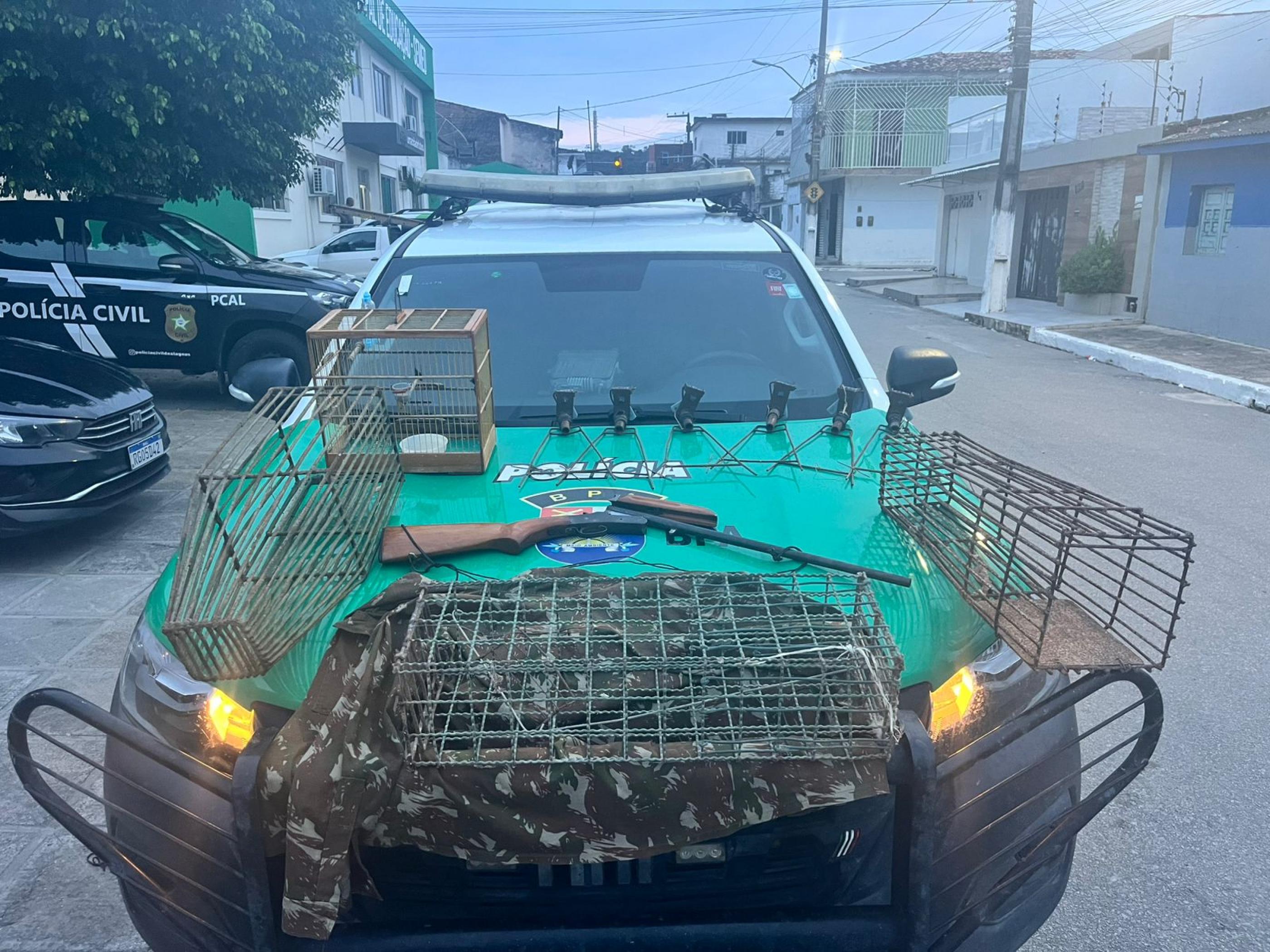PM apreende arma de fogo e mais de cem animais silvestres em Alagoas
