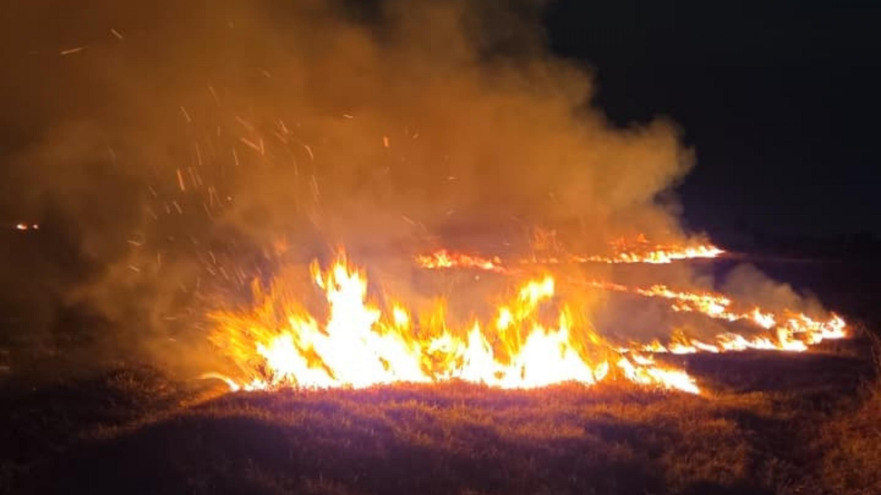 Corpo de Bombeiros registra 16 incêndios em vegetação em um único dia em AL