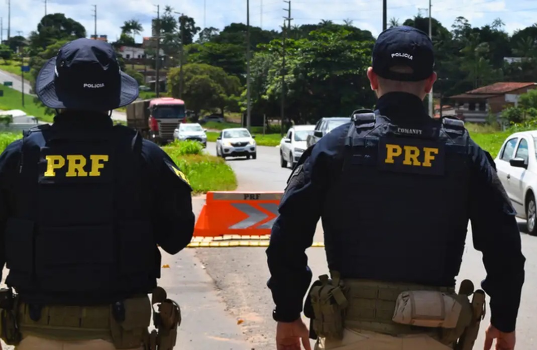 Mais de quatro toneladas de carcaça de bovídeos são apreendidas na Grande Maceió