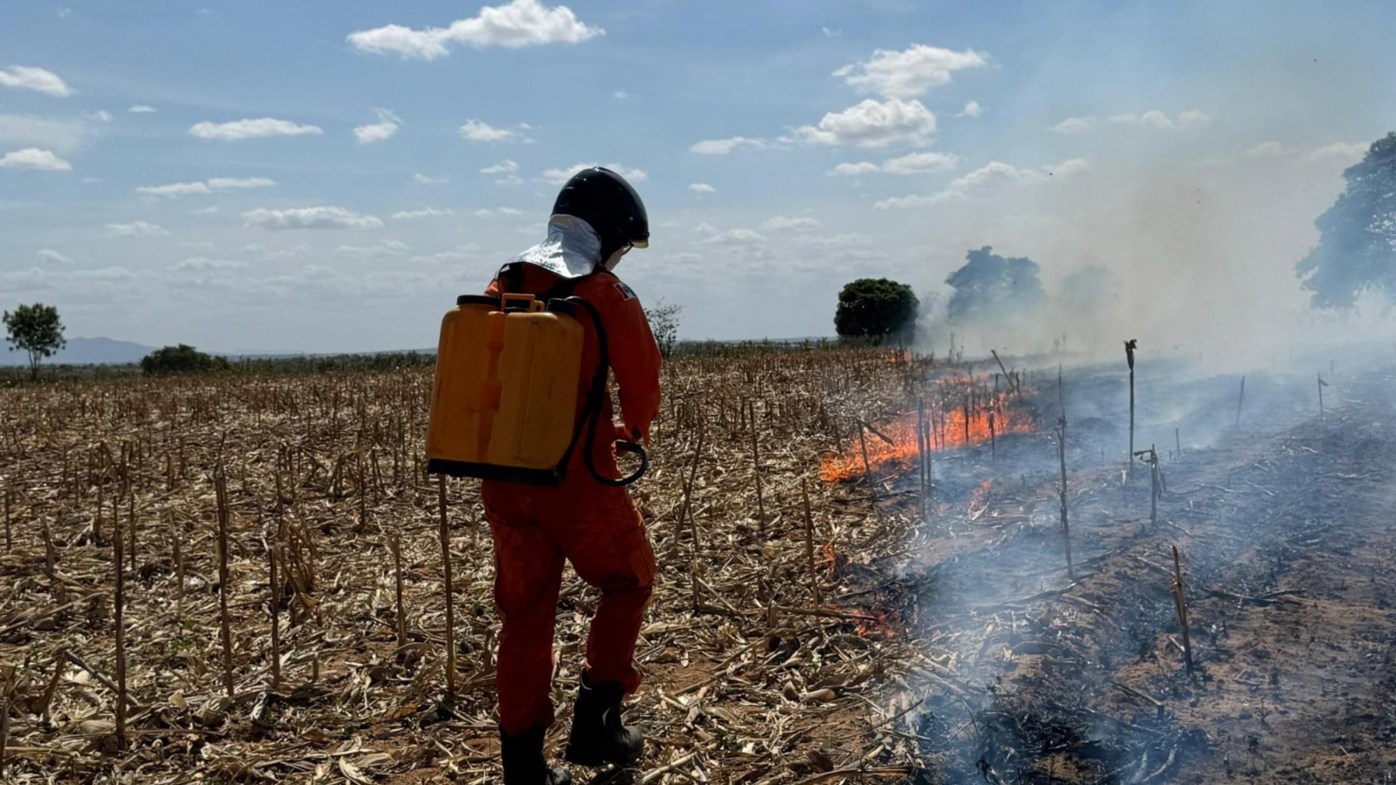 Corpo de Bombeiros registra aumento de 80% de incêndios em vegetação em Alagoas