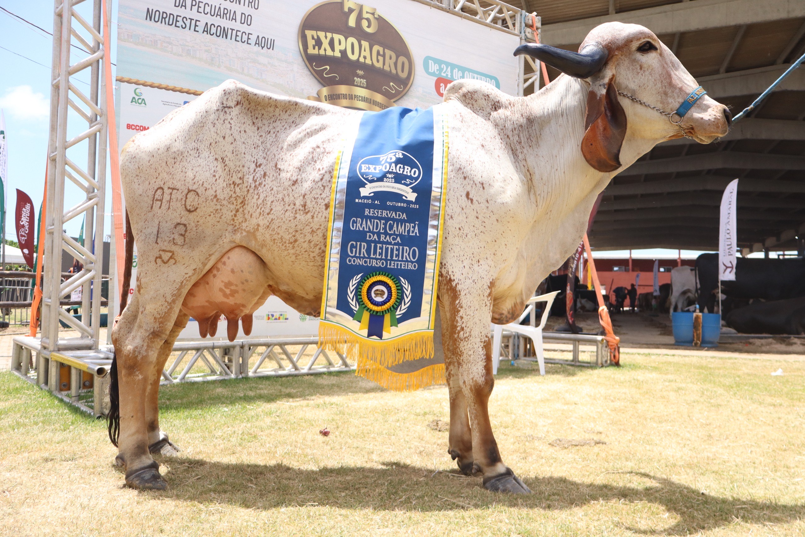 Associação dos Criadores divulga calendário das grandes exposições agropecuárias de 2026