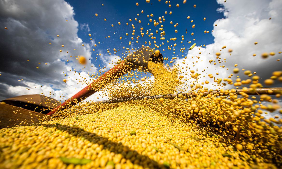 Produção de grãos no Brasil pode atingir recorde de 358,6 milhões de toneladas