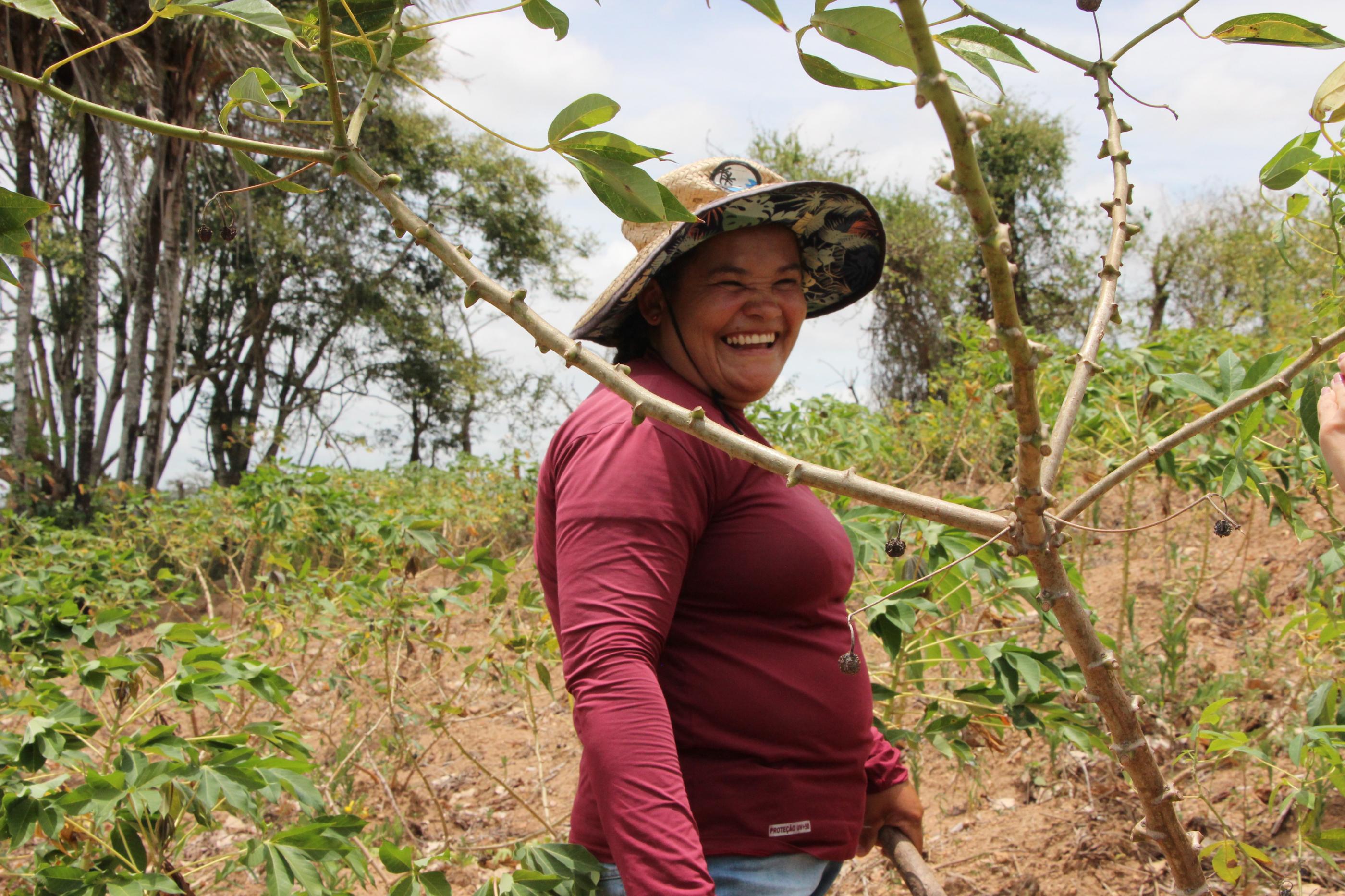Participação do interior no PIB de Alagoas supera a capital, aponta IBGE
