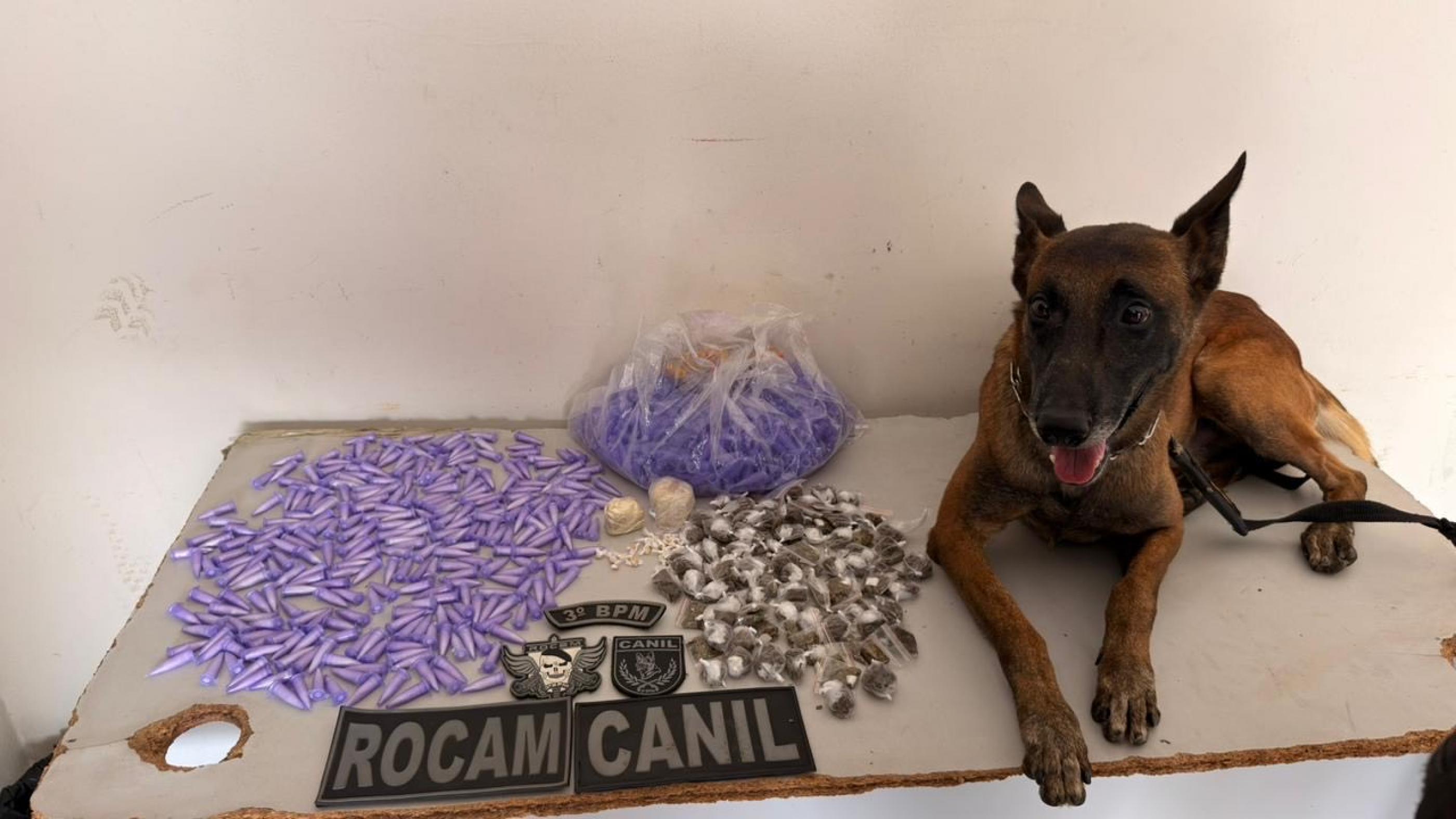 Drogas prontas para comercialização são apreendidas em Arapiraca