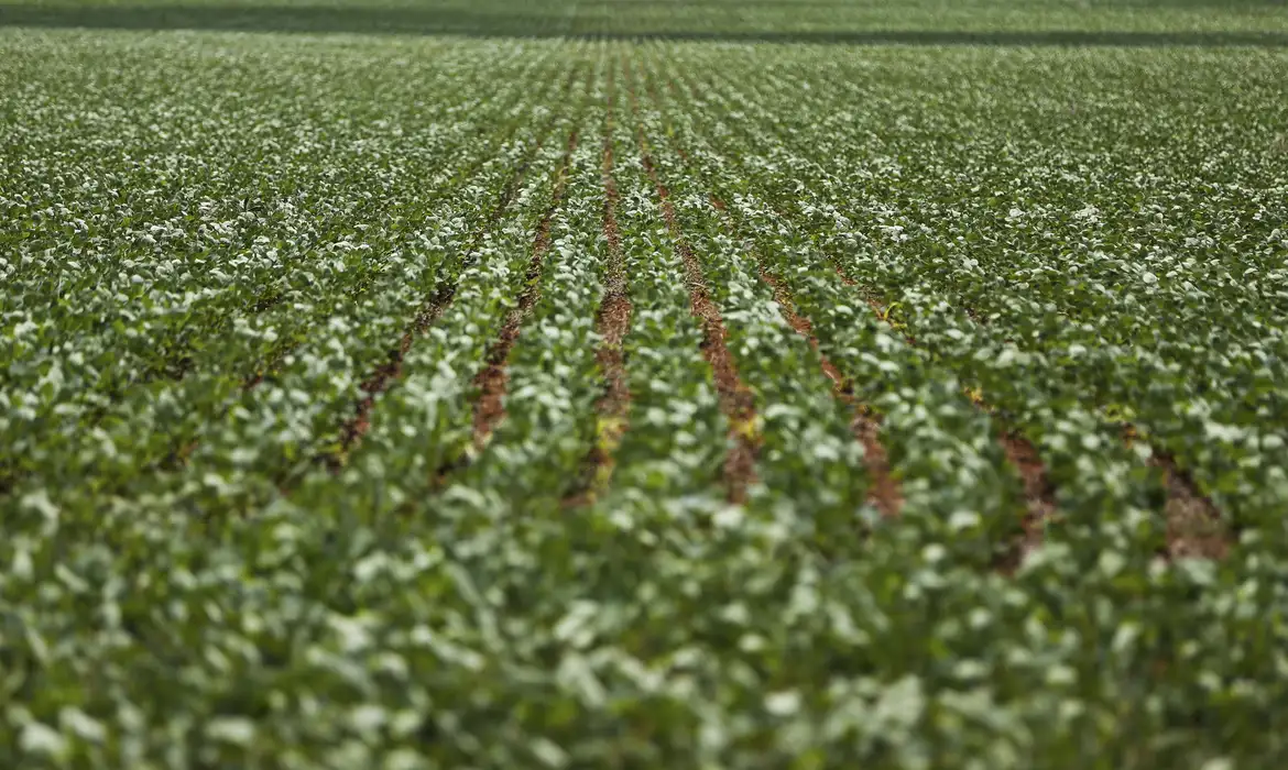 Reunião entre governo e bancada do agro termina sem acordo sobre dívidas rurais