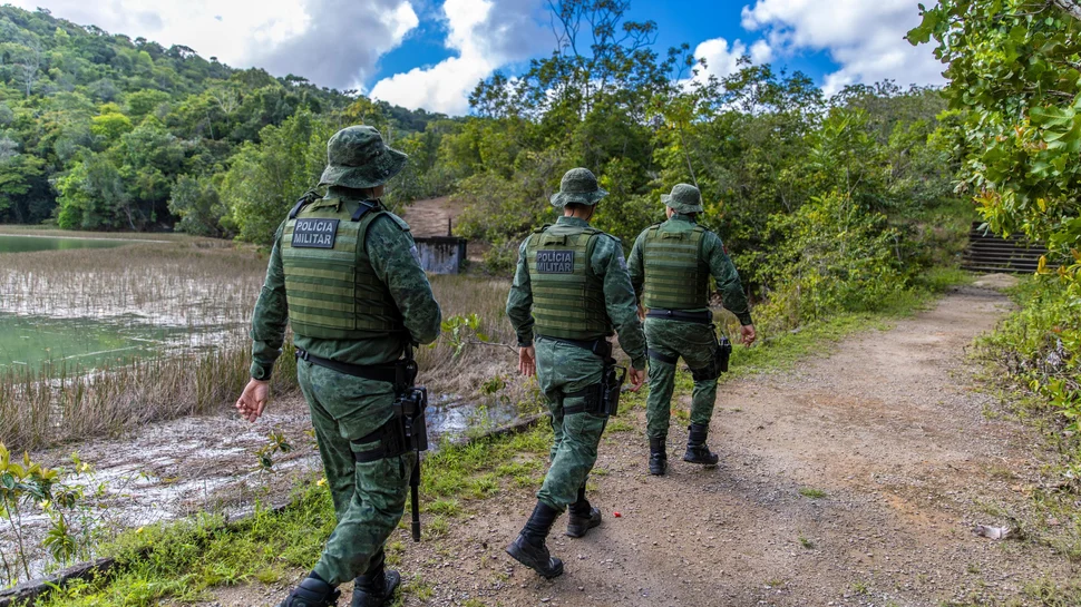 Jaguatirica invade casa em Penedo e mobiliza Polícia Ambiental