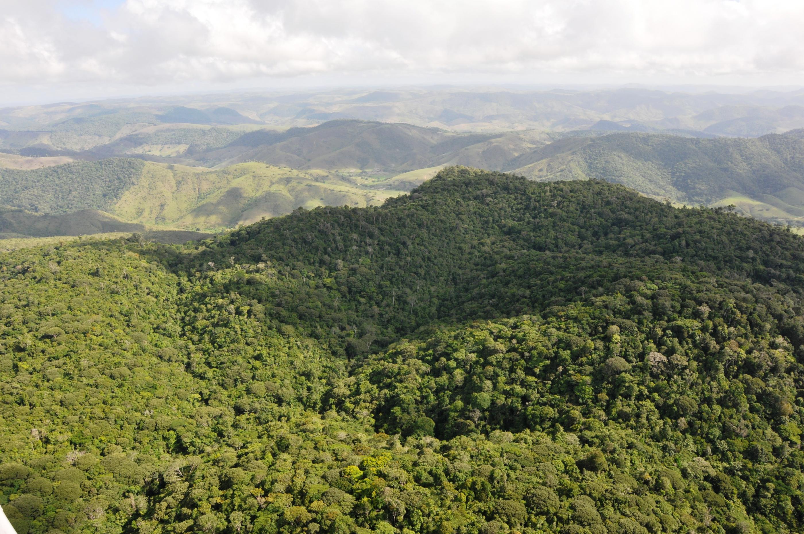 Alagoas tem o menor índice de desmatamento do Nordeste